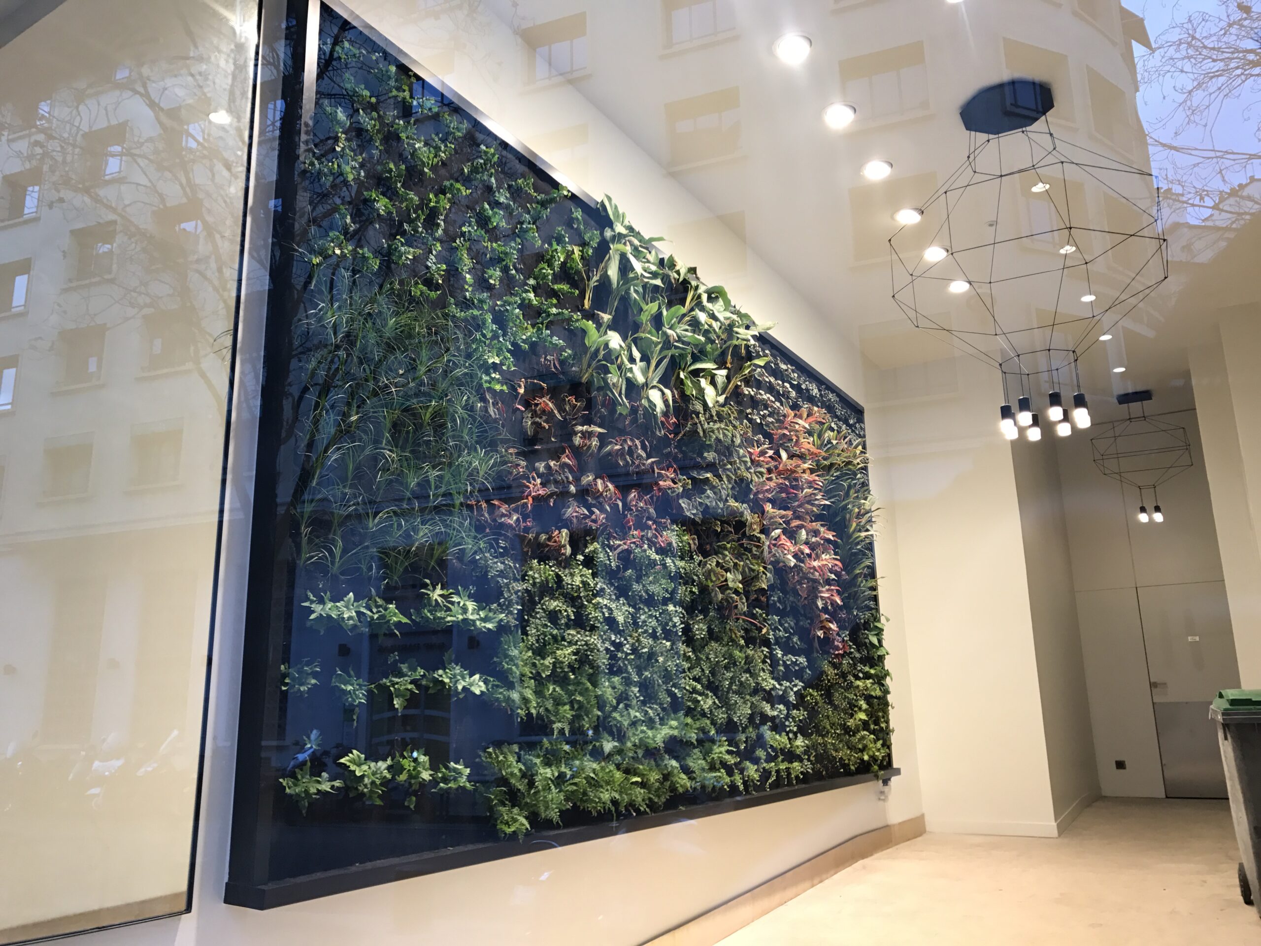 Mur végétal dans un espace tertiaire